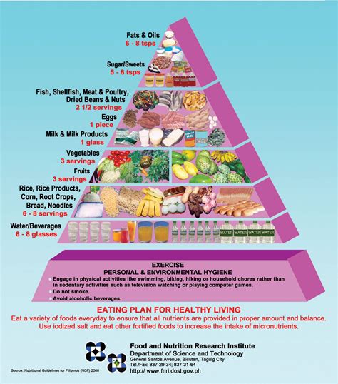 Nutritional Guide Pyramid .